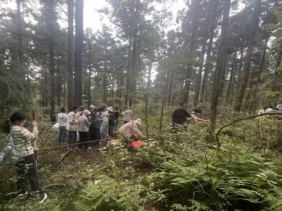 f535b5a1bb0a8c59590ee594bd7b3385